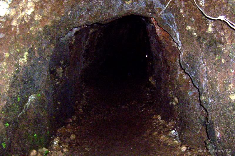 tunnel.jpg