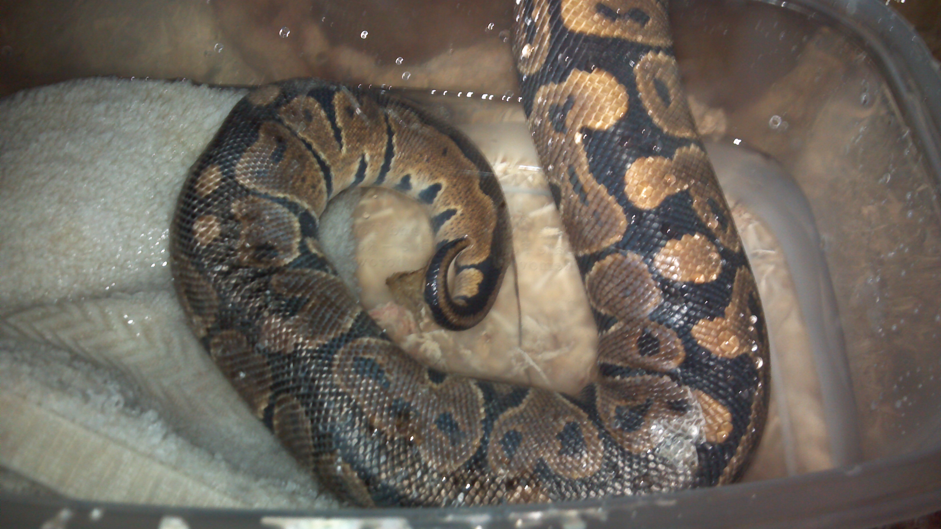 2012-07-27_12-25-35_206.jpg
