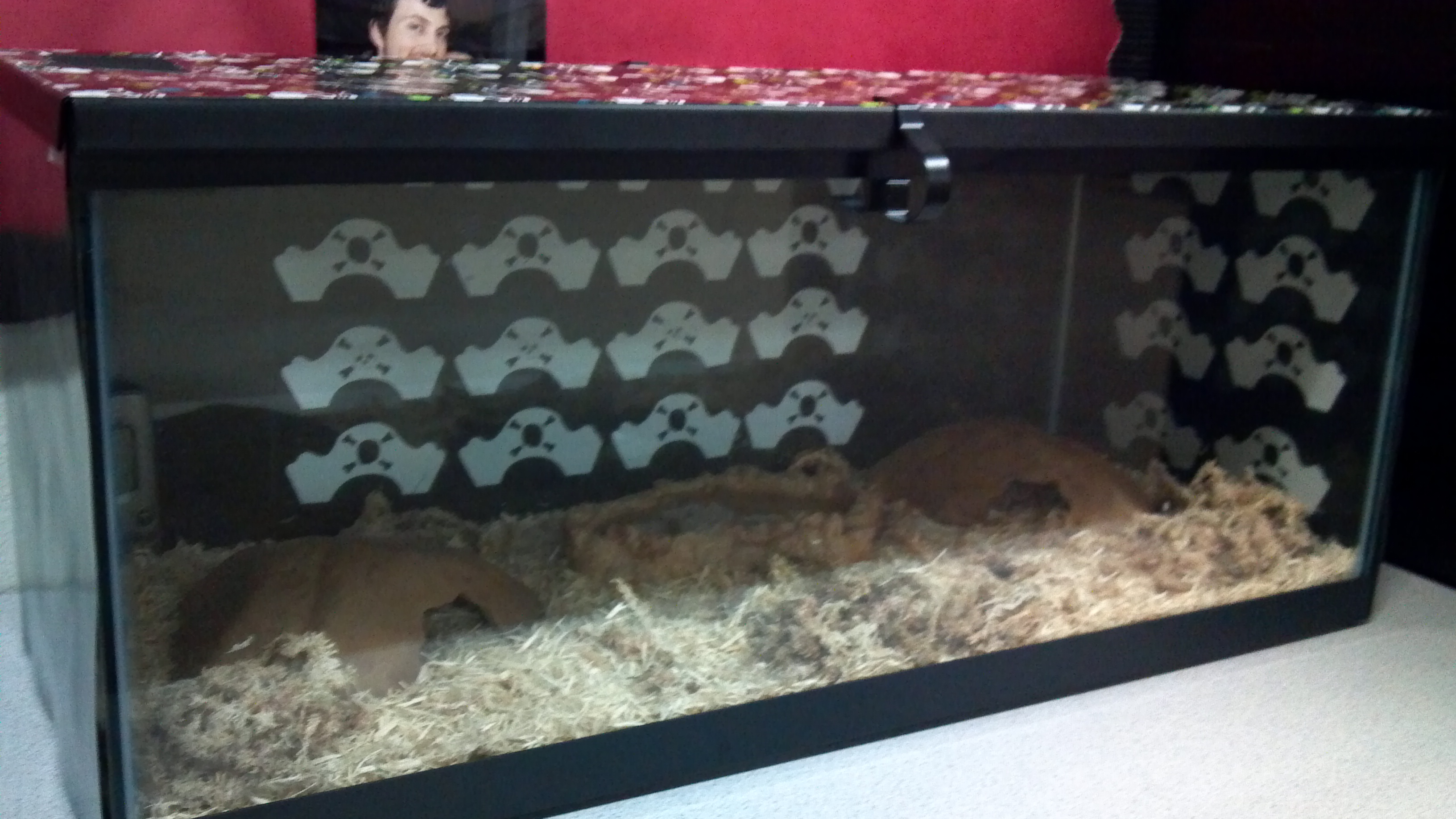 2012-07-30_14-02-26_956.jpg