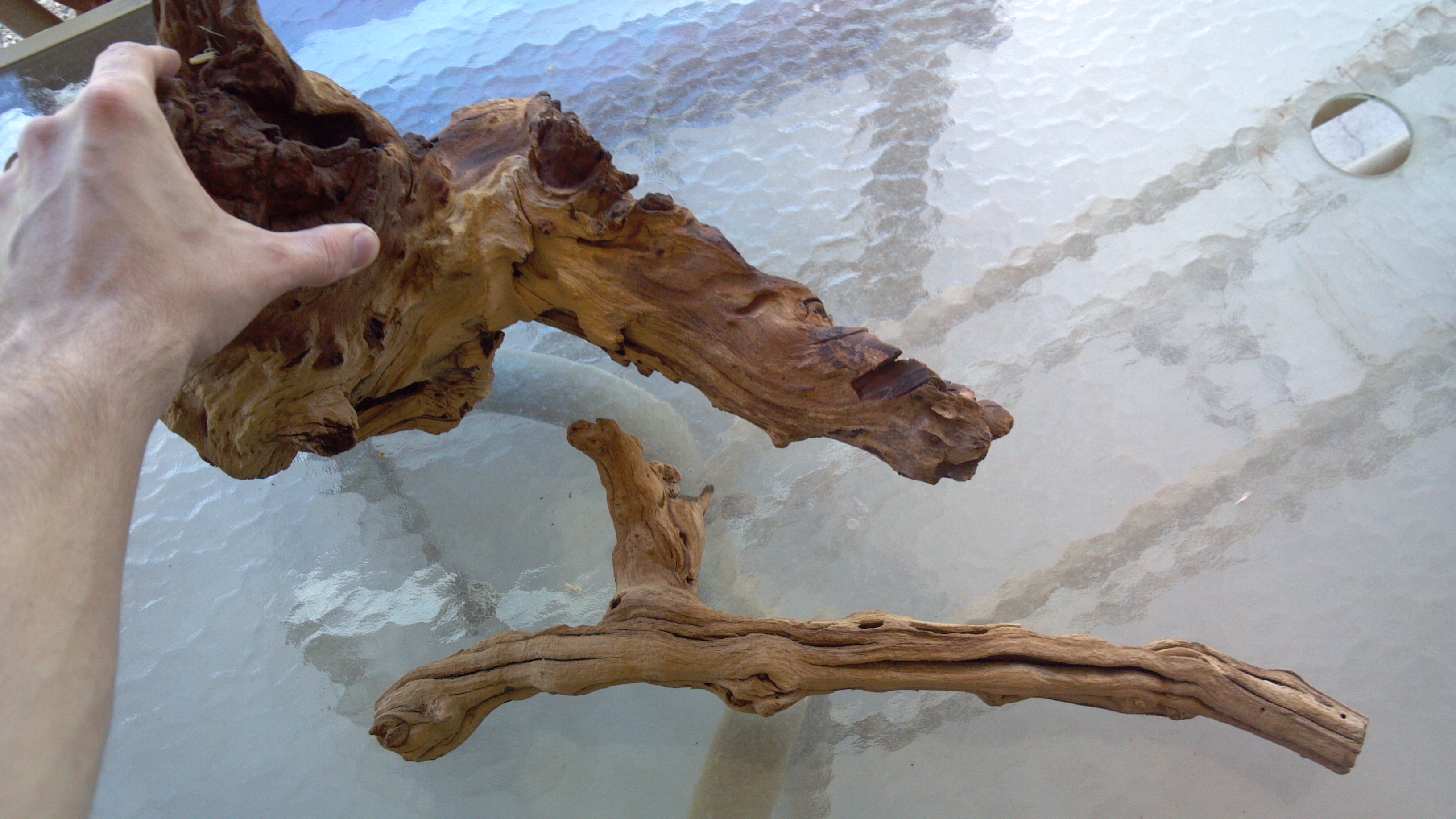2012-07-31_14-29-29_49.jpg