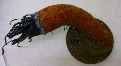 RattlerDone2.jpg