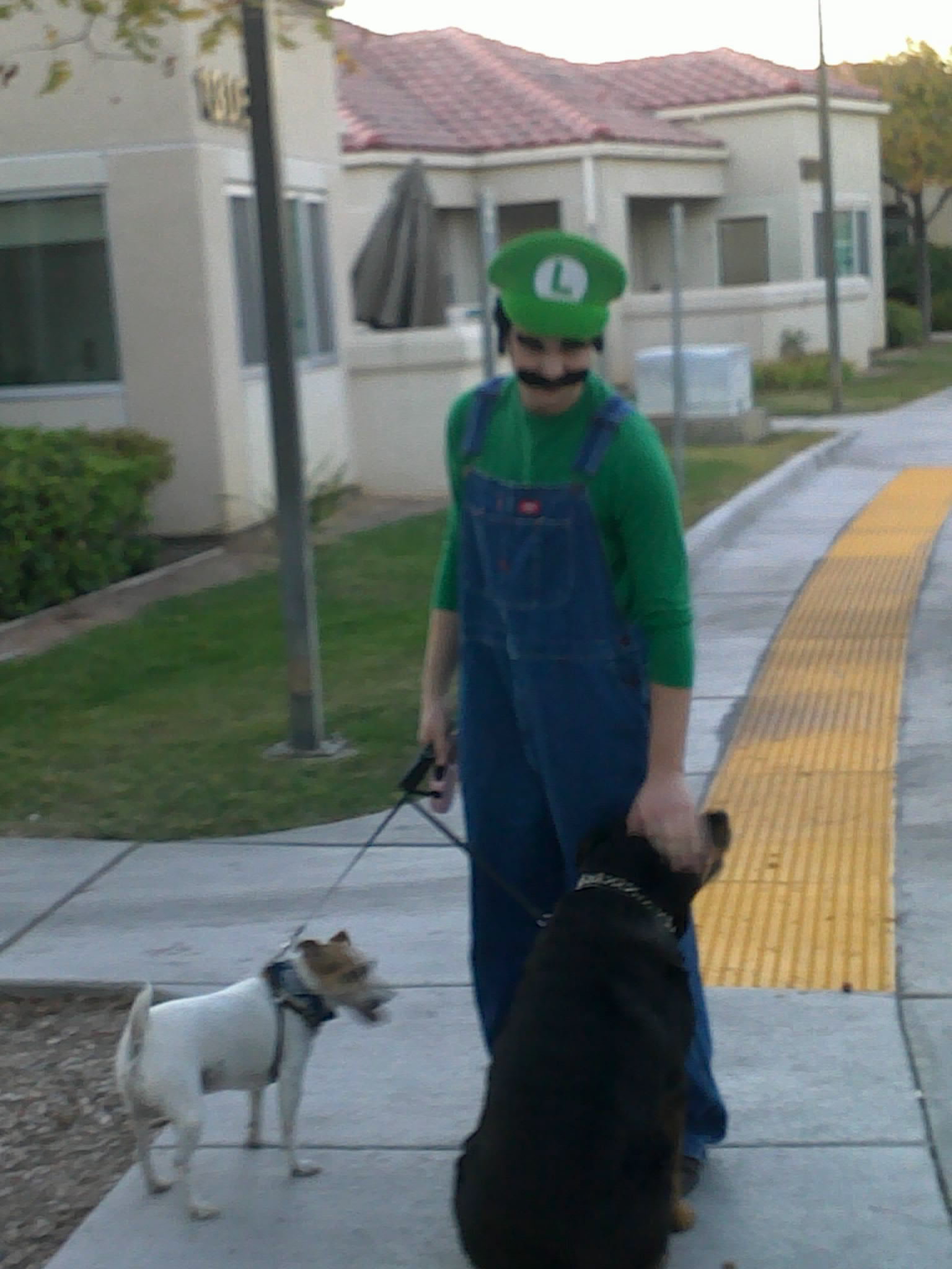 Chris-as-Luigi.jpg